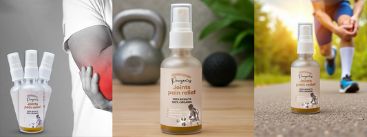 Everyday Natural Wellness: From Oral Care to Joint Relief with Pureganics