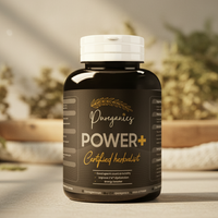 Power Plus