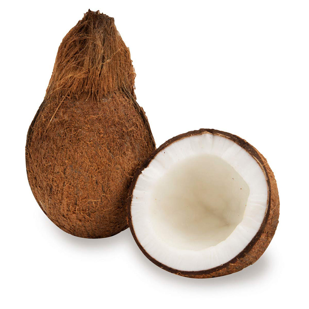 coconut price in Pakistan